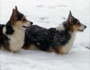 Romi and Julie in the snow